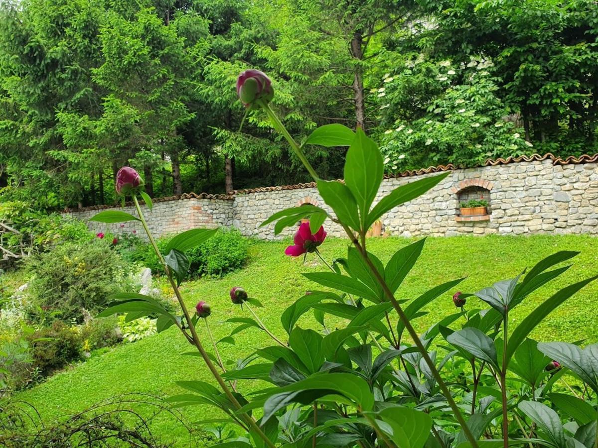 Apartma Maell 1 Most na Soči Exterior foto